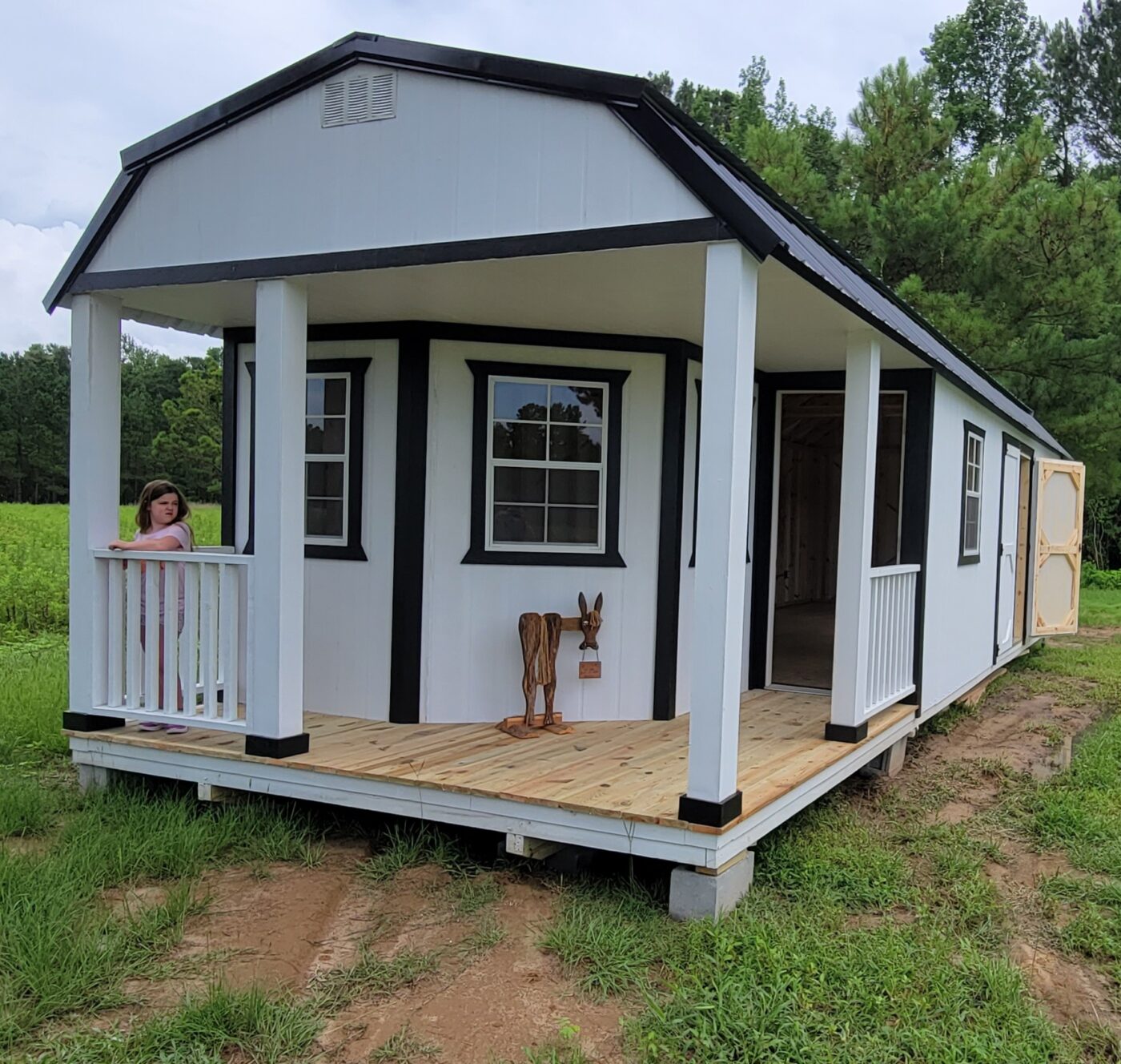 Cabin Building Shed