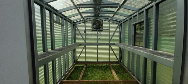 Green Fiberglass 8x12 Portable Building - Image 3